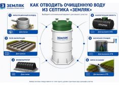 Спарта 600 Плюс